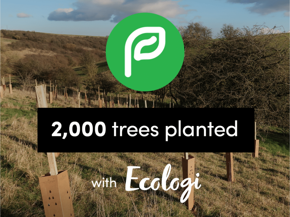 Paperless Construction Tree Planting Commitment